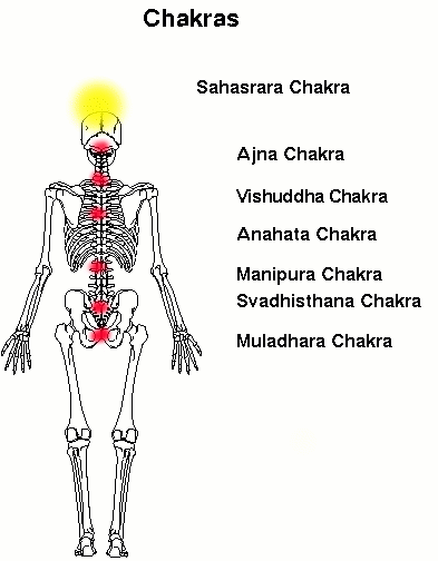 die 7 Haupt Chakren - 7 Haupt-Chakras des menschlichen Körpers